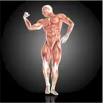 Kas Gerilimini Azaltma