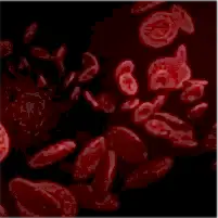 Dolaşımı Artırma