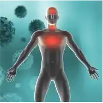 Bağışıklık Sistemini Güçlendirme